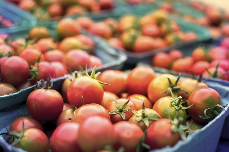 Farm Fresh Vegetables